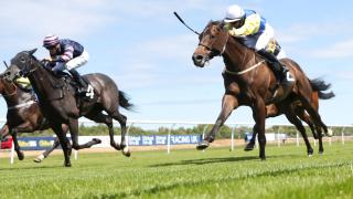 Musselburgh racecourse